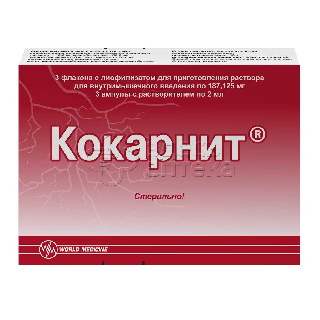 Кокарнит лиоф д/пригот р-ра д/в/м введения 187,125мг амп 2мл + растворитель  N3 купить в г. Воронеж, цена от 546.00 руб. 45 аптек в г. Воронеж -  ЗдесьАптека.ру