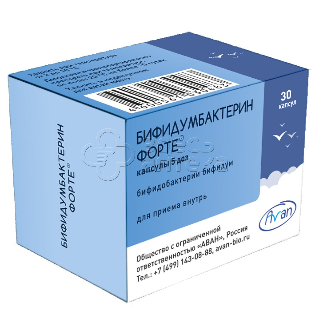 Бифидумбактерин форте капс 5 доз N30 купить в г. Новомосковск, цена от  491.00 руб. 16 аптек в г. Новомосковск - ЗдесьАптека.ру