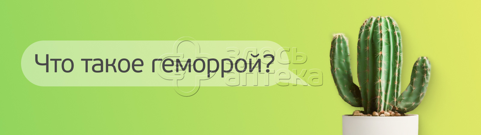 Что такое геморрой?