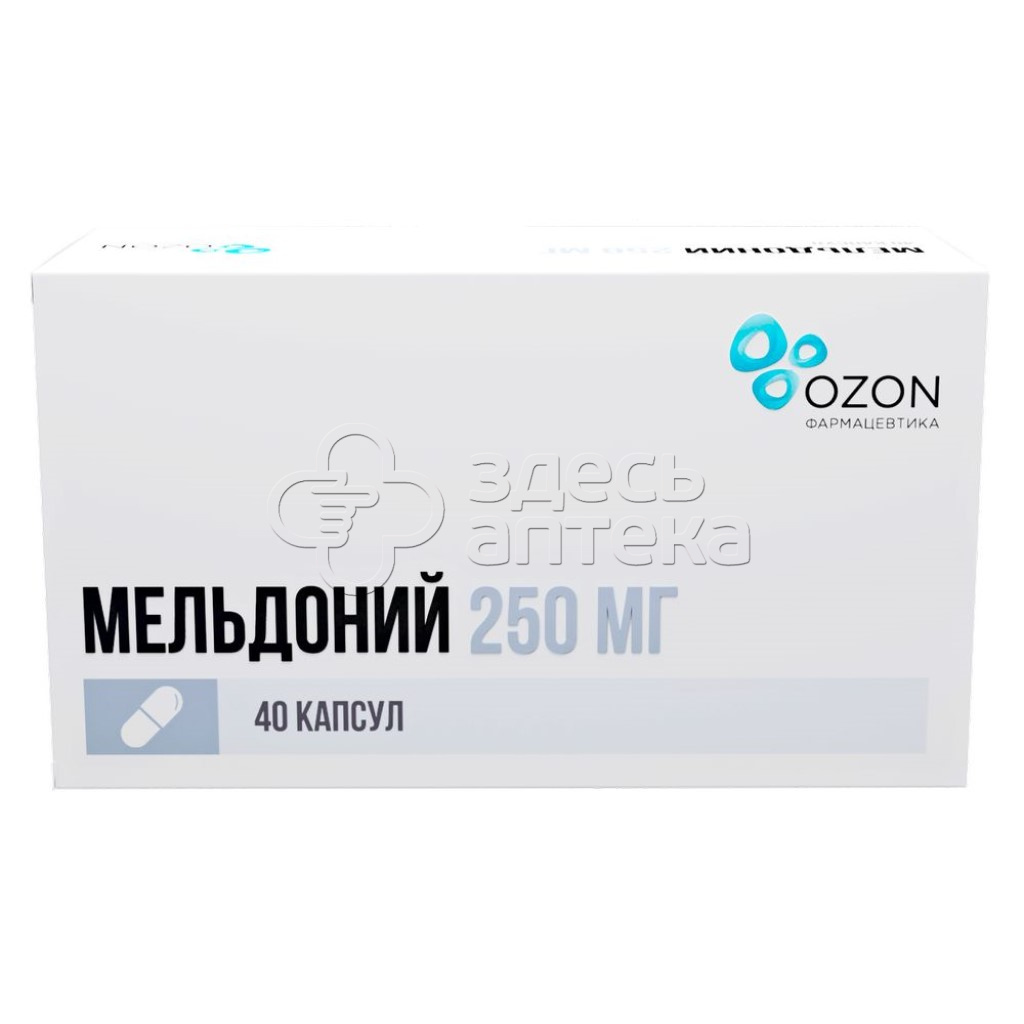 Мельдоний 40 капсул 250 мг купить в г. Домодедово, цена от 276.00 руб. 7  аптек в г. Домодедово - ЗдесьАптека.ру