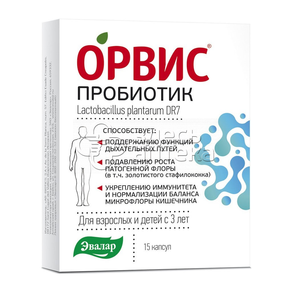 Орвис Пробиотик, 15 капсул купить в г. Новороссийск, цена от 861.00 руб. 27  аптек в г. Новороссийск - ЗдесьАптека.ру