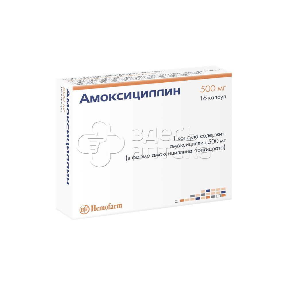 Амоксициллин 500мг, 16 капсул купить в г. Чехов, цена от 108.00 руб. 9  аптек в г. Чехов - ЗдесьАптека.ру