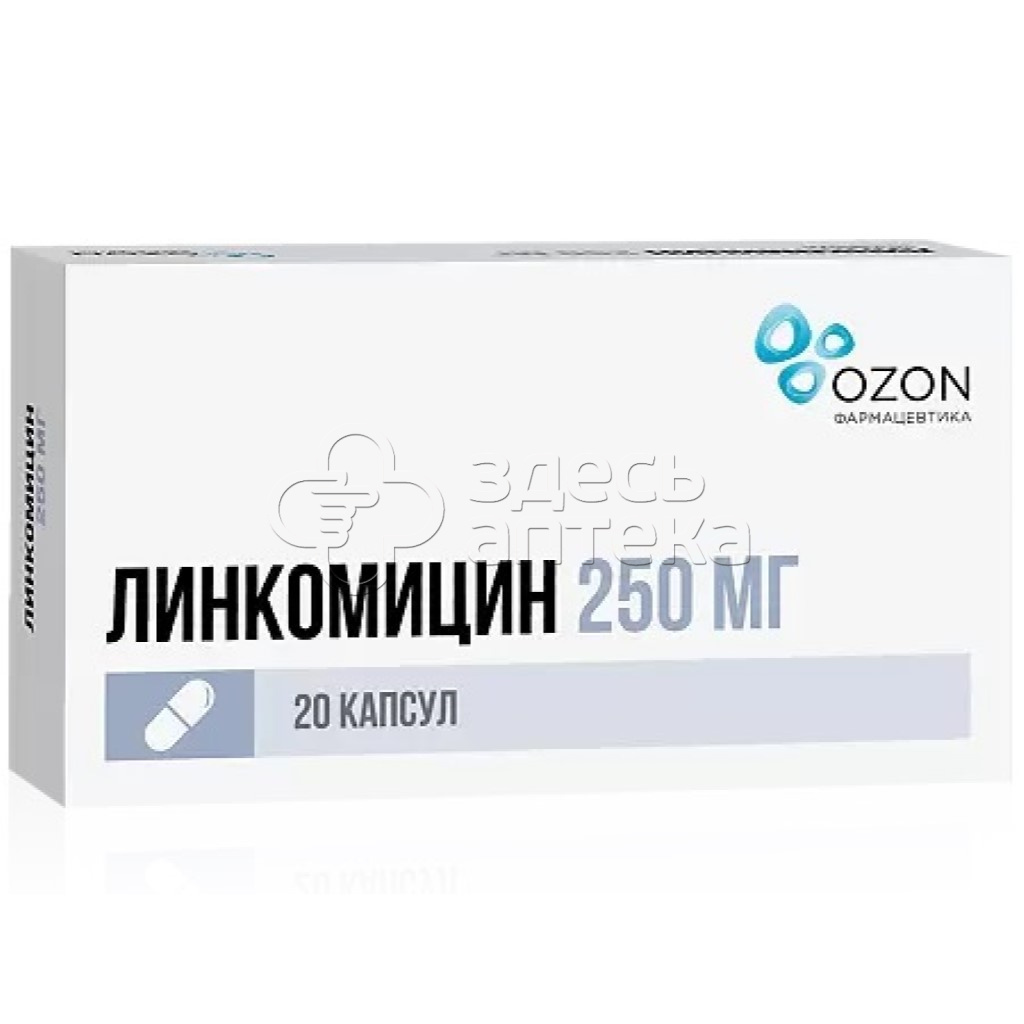 Линкомицин 20 капсул 250 мг купить в г. Тула, цена от 158.00 руб. 98 аптек  в г. Тула - ЗдесьАптека.ру