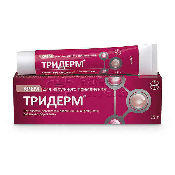 Иттің жыныс мүшесі